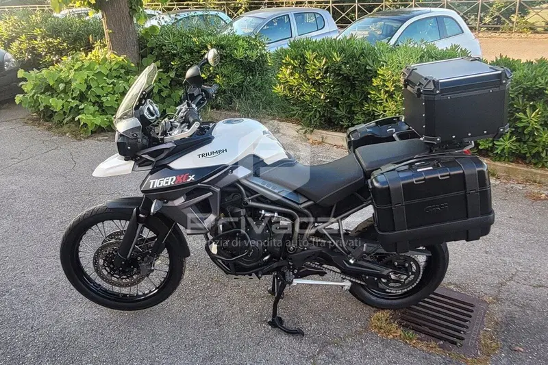 Triumph Tiger 800 XCx (2015 - 17) (15)