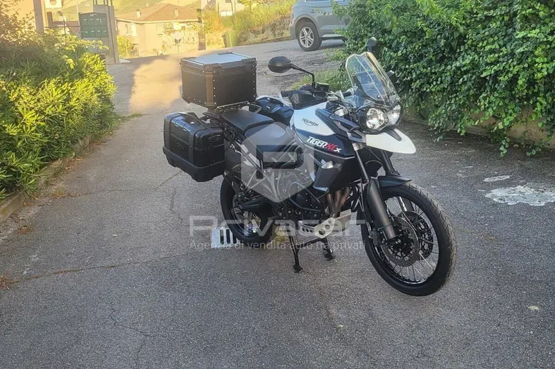 Triumph Tiger 800 XCx (2015 - 17) (3)
