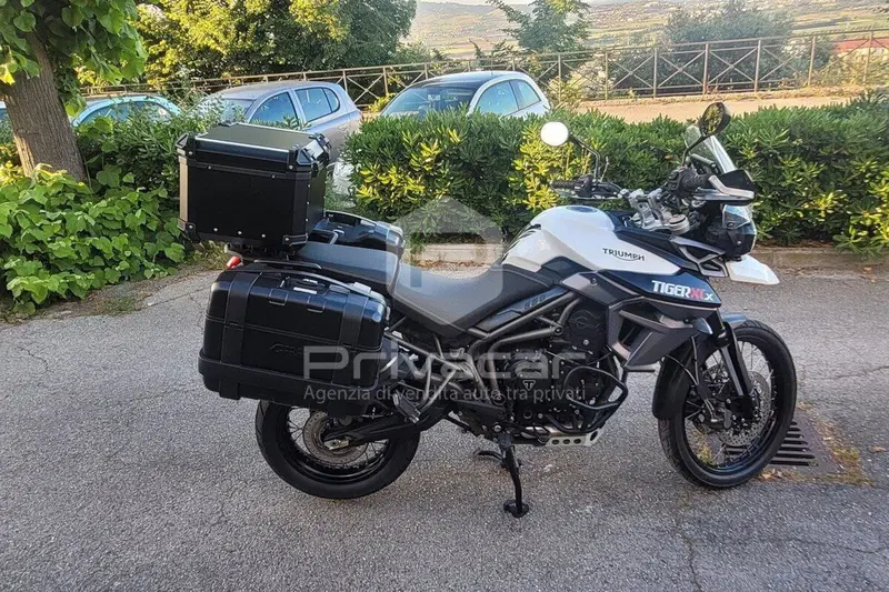 Triumph Tiger 800 XCx (2015 - 17) (9)