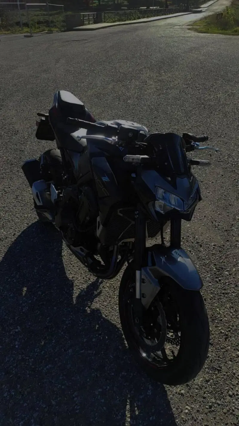 Kawasaki Z 900 (2021 - 24) (2)