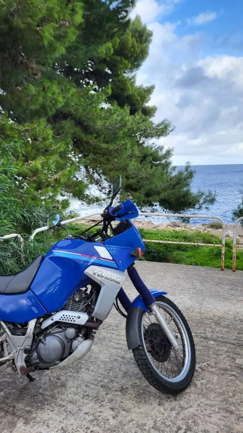 Yamaha XTZ 660 Téneré (3)