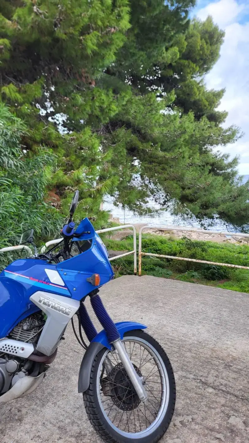Yamaha XTZ 660 Téneré (4)