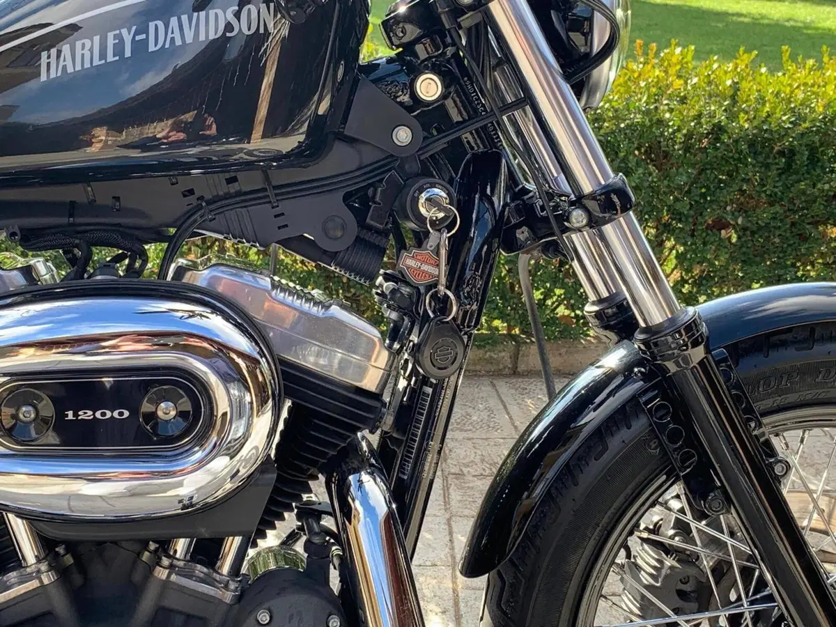 Harley-Davidson XL 1200N Nightster (2008 - 12) (5)
