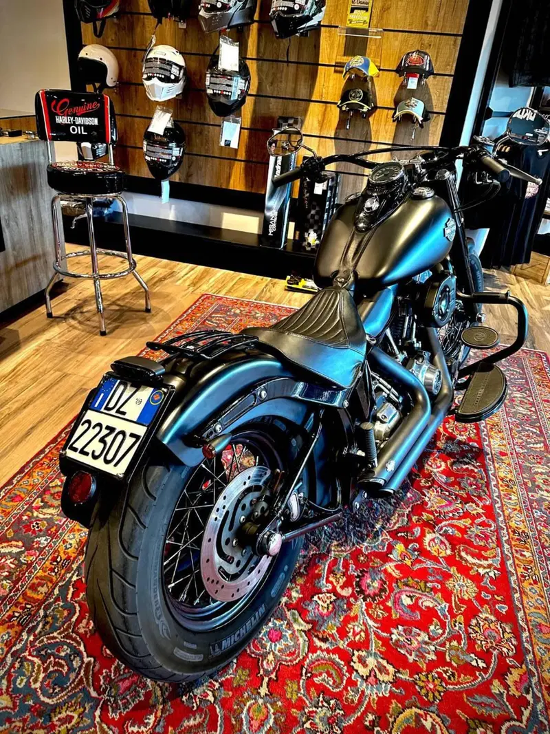Harley-Davidson 1690 Slim (2011 - 16) - FLS (3)