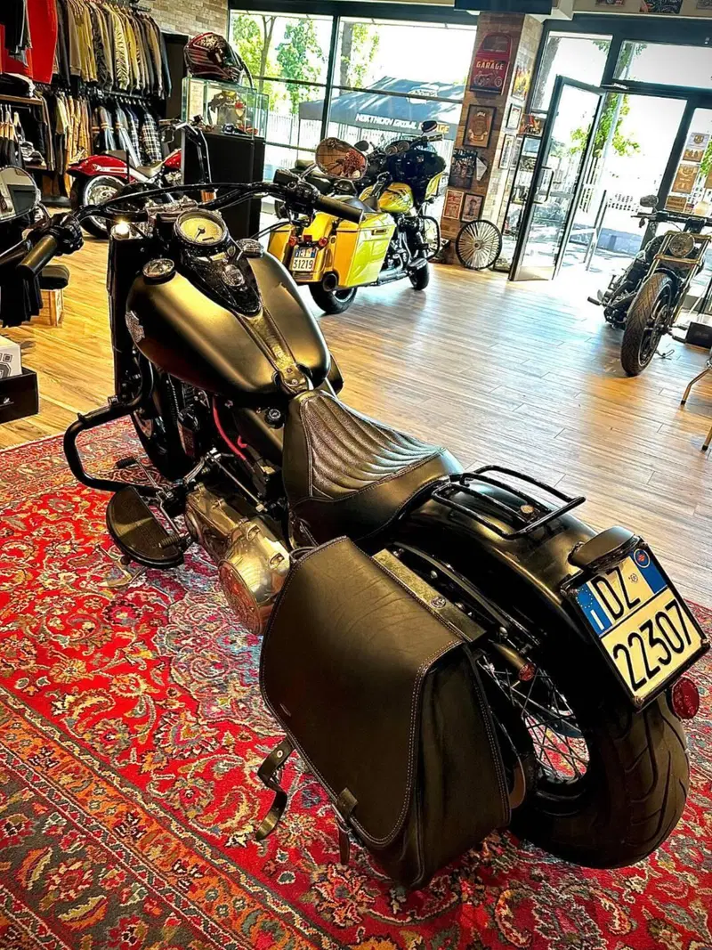 Harley-Davidson 1690 Slim (2011 - 16) - FLS (4)