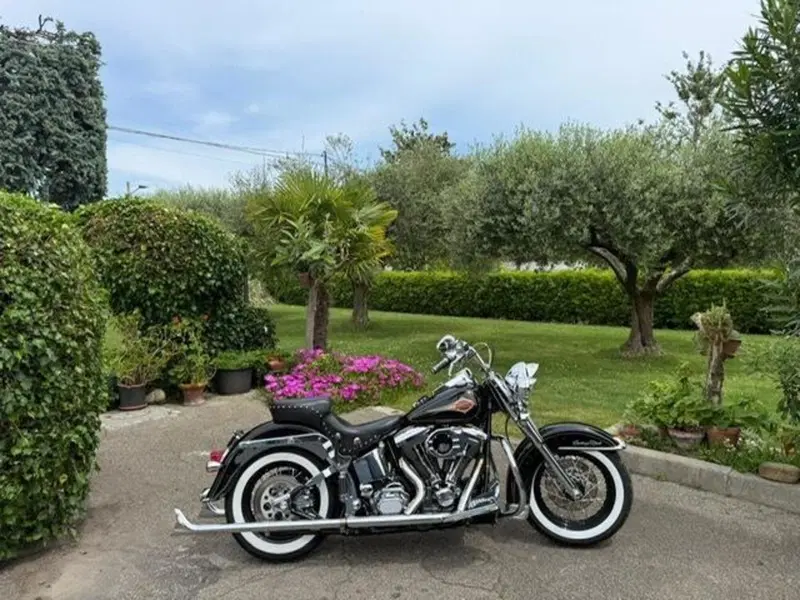 Harley-Davidson 1340 Heritage Classic (1984 - 98) - FLSTC (11)