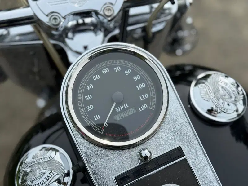 Harley-Davidson softail Heritage 1340 (8)