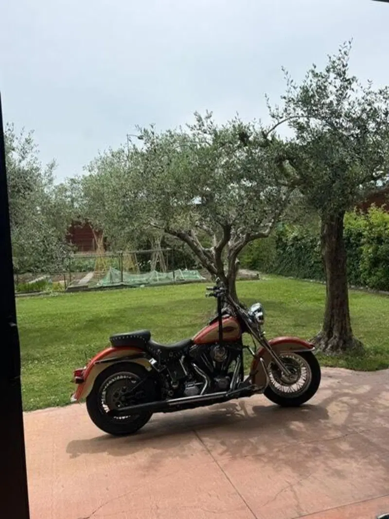 Harley-Davidson 1340 softail heritage  (15)