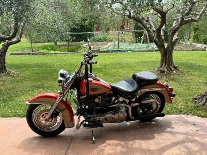 Harley-Davidson 1340 softail heritage  (16)