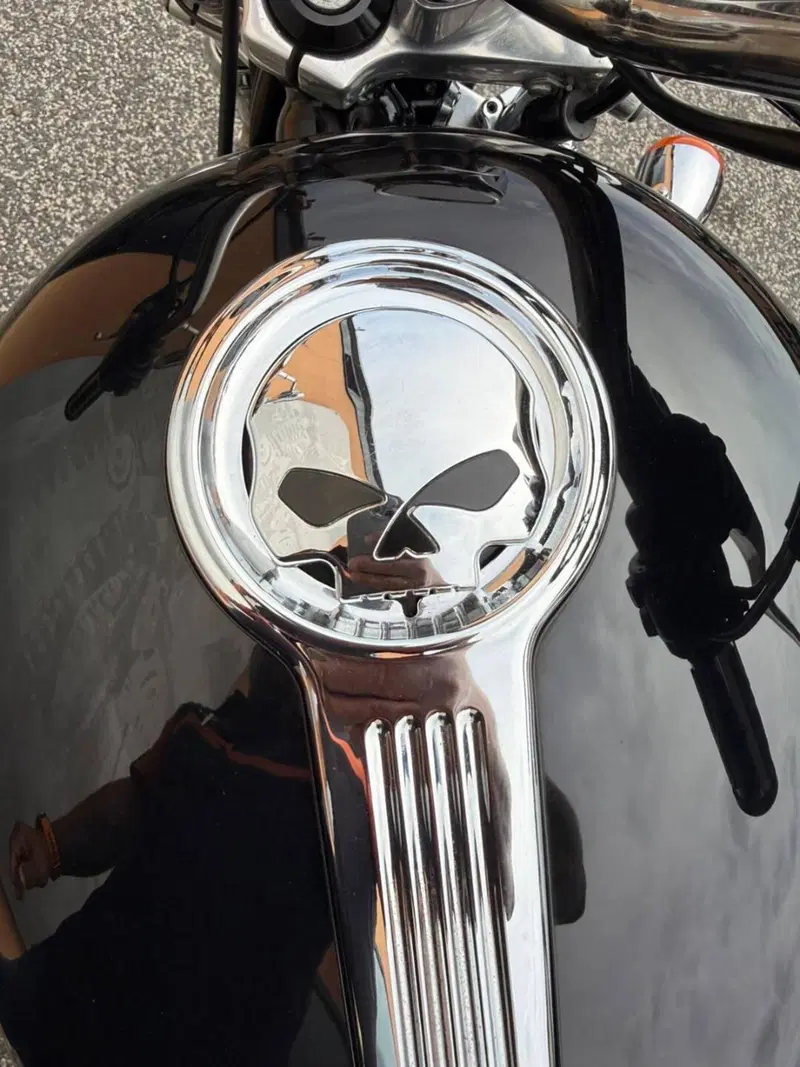 Harley-Davidson 1200 SuperLow (2014 - 16) - XL 1200T (9)