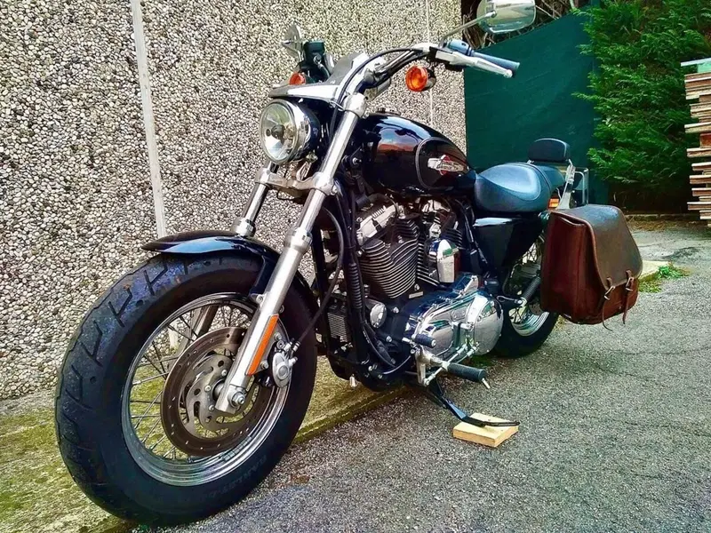 Harley-Davidson 1200 Custom (2007 - 13) - XL 1200C (4)