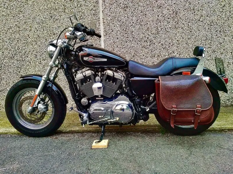 Harley-Davidson 1200 Custom (2007 - 13) - XL 1200C (5)