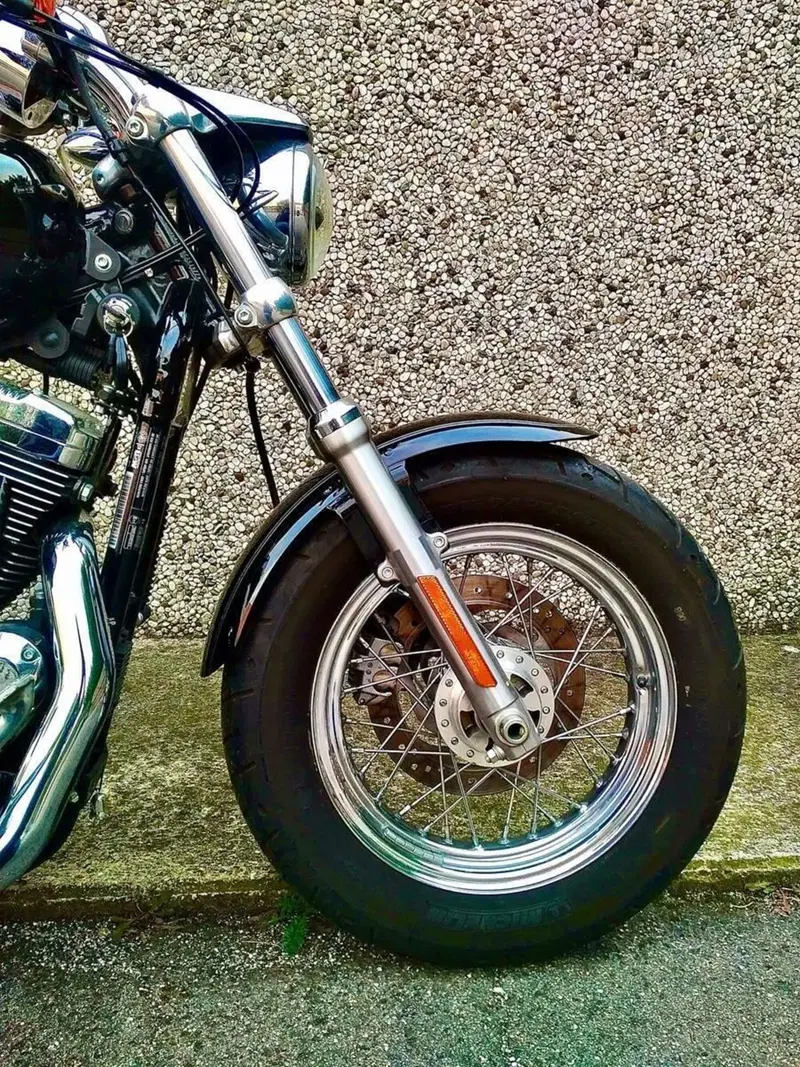 Harley-Davidson 1200 Custom (2007 - 13) - XL 1200C (11)