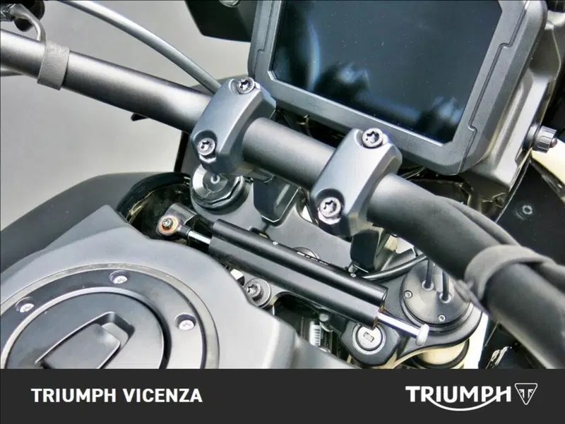 Harley-Davidson Pan America 1250 Special (2020 - 25) (20)