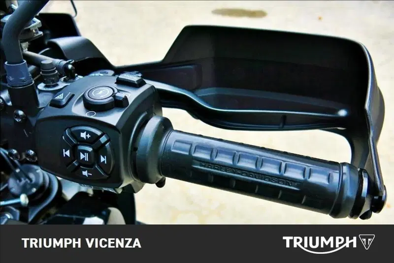 Harley-Davidson Pan America 1250 Special (2020 - 25) (21)