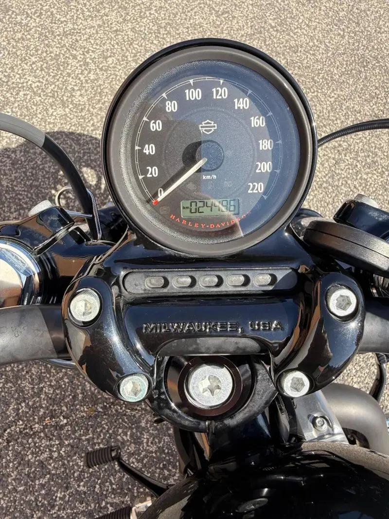Harley-Davidson 1200 Forty-Eight (2016 - 20) (4)