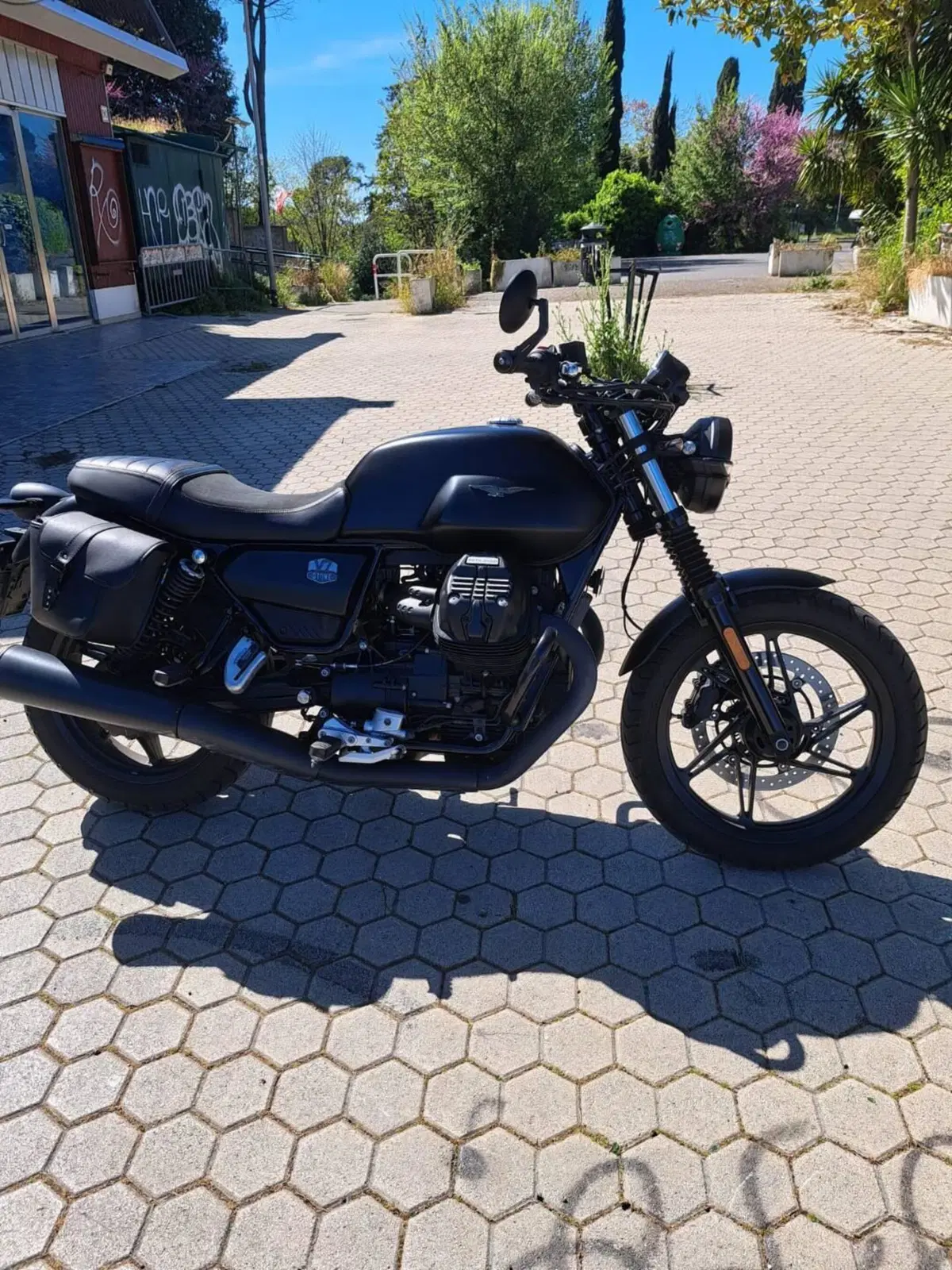 Moto Guzzi V7 Stone (2021 - 24) (7)