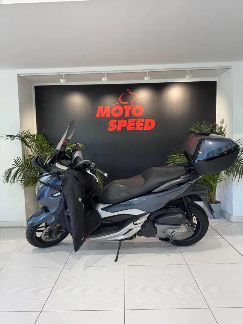 Honda Forza 300 Deluxe ABS (2018 - 20) (2)