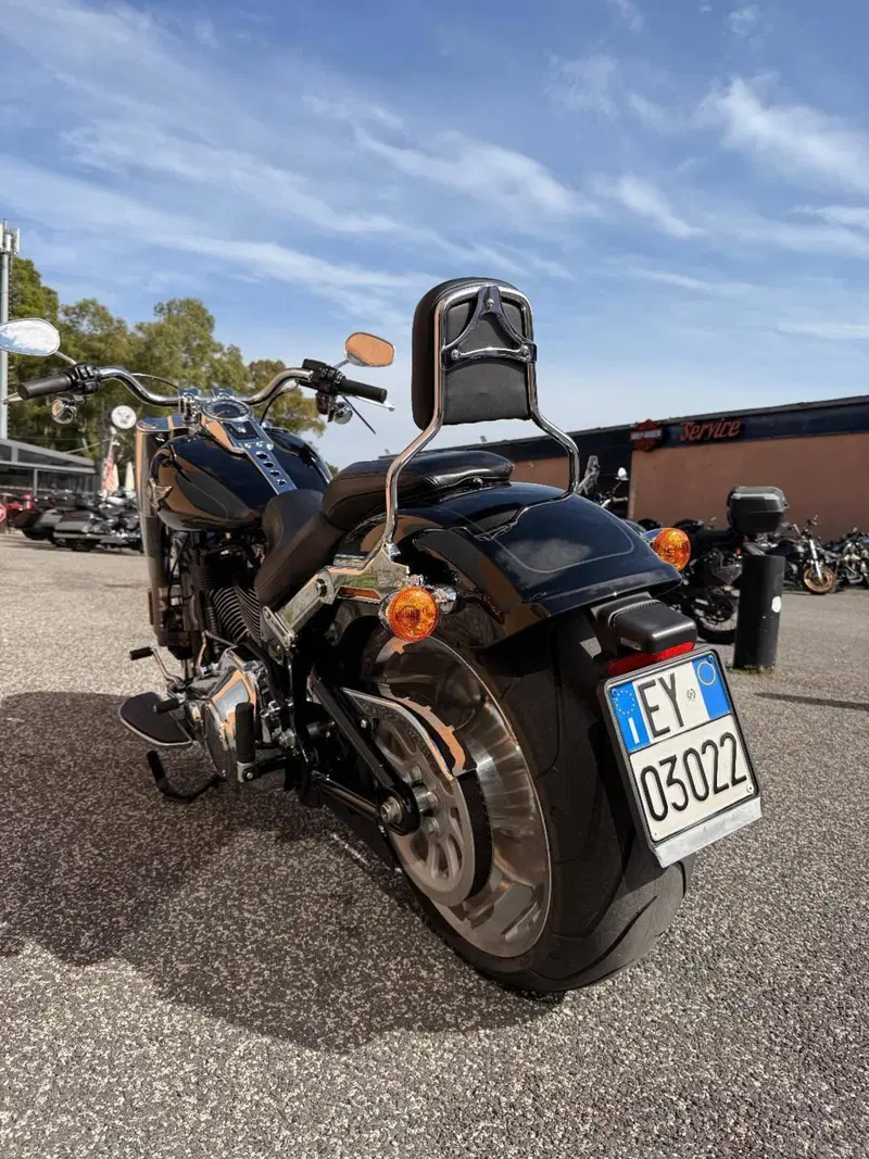 Harley-Davidson Fat Boy 114 (2021 - 24) (4)