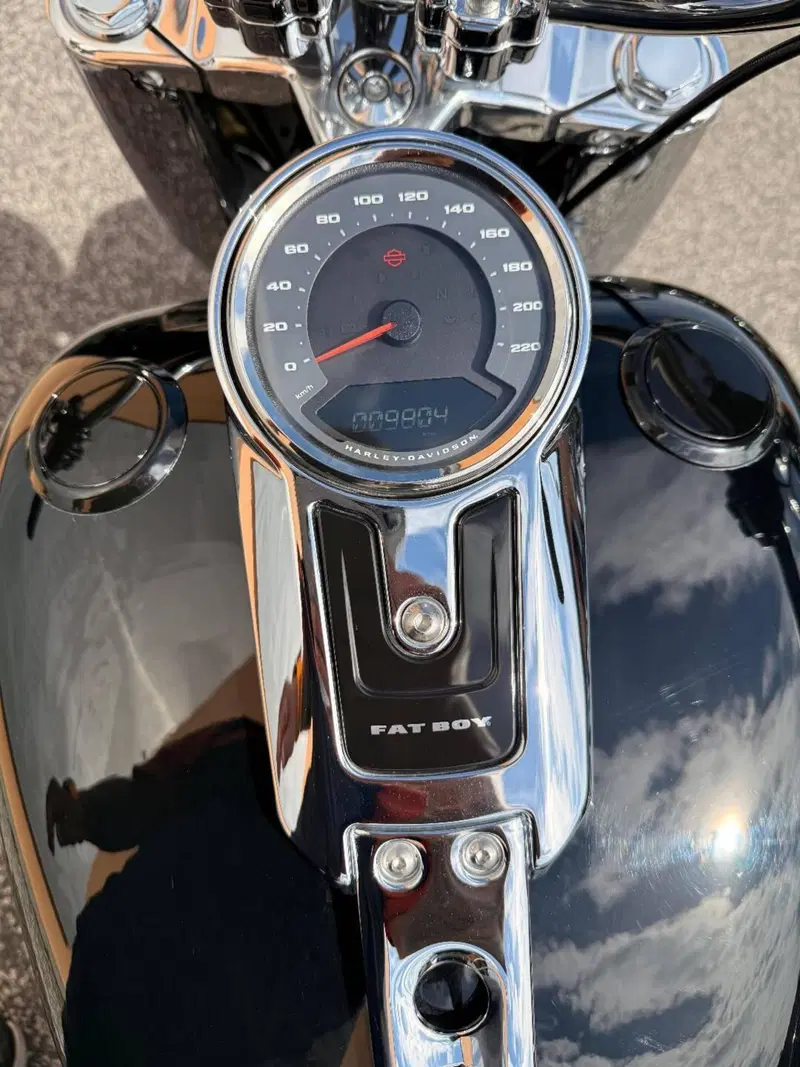 Harley-Davidson Fat Boy 114 (2021 - 24) (8)
