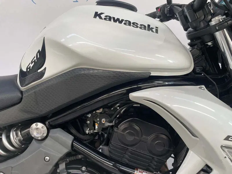 Kawasaki ER-6N (2009 - 11) (2)