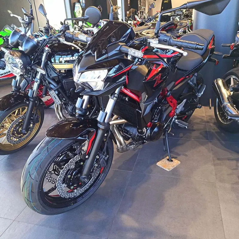 Kawasaki Z 650 (2025 - 26) (2)