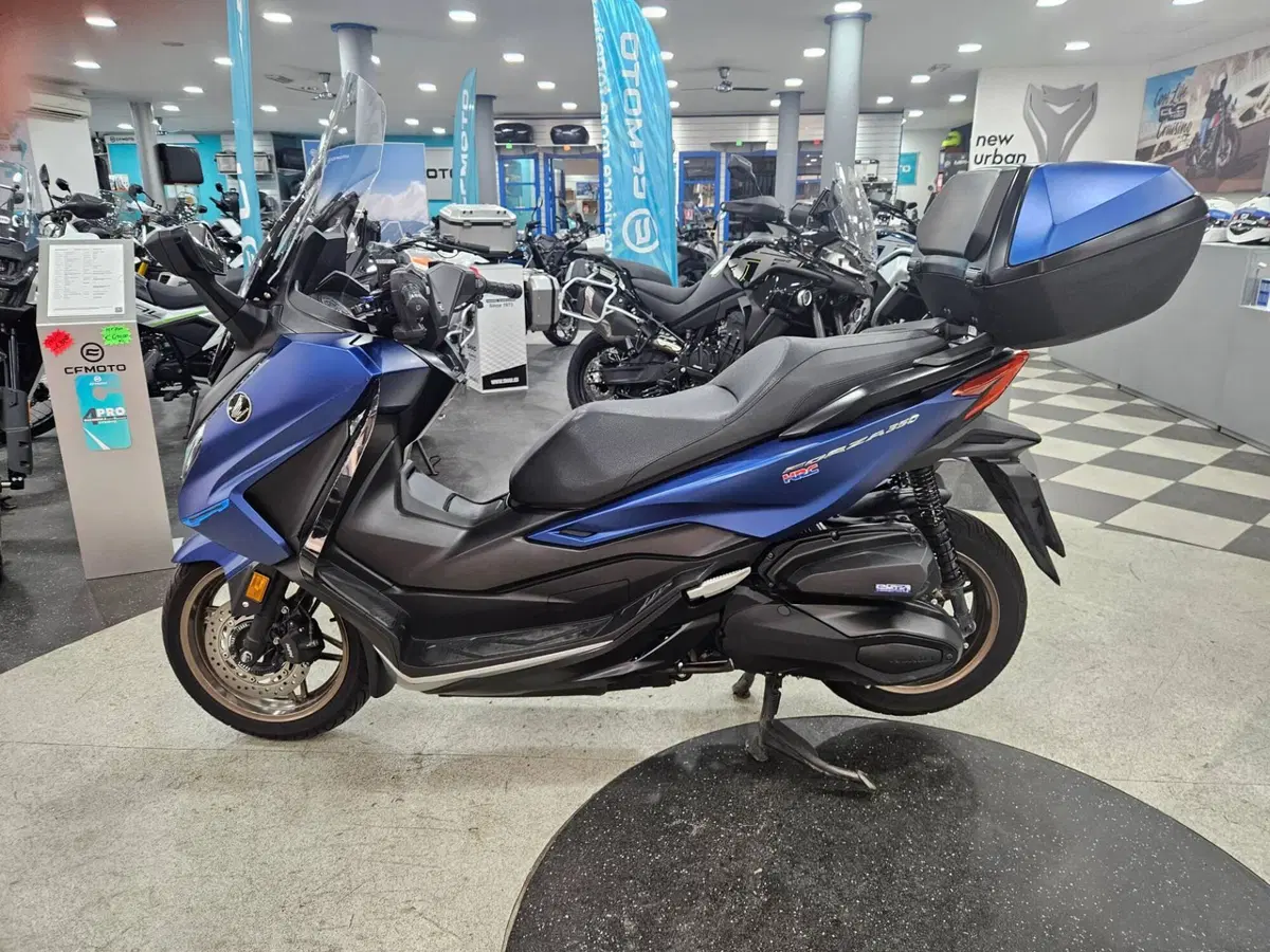 Honda Forza 350 Deluxe (2022 - 24) (2)