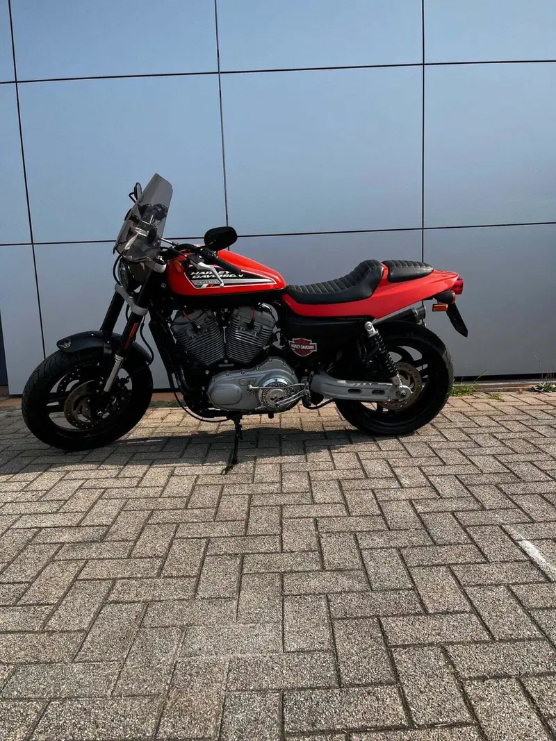 Harley-Davidson 1200 XR (2009 - 12) (5)