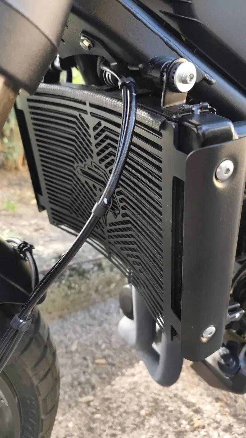 Benelli Leoncino 800 Trail (2022 - 26) (5)