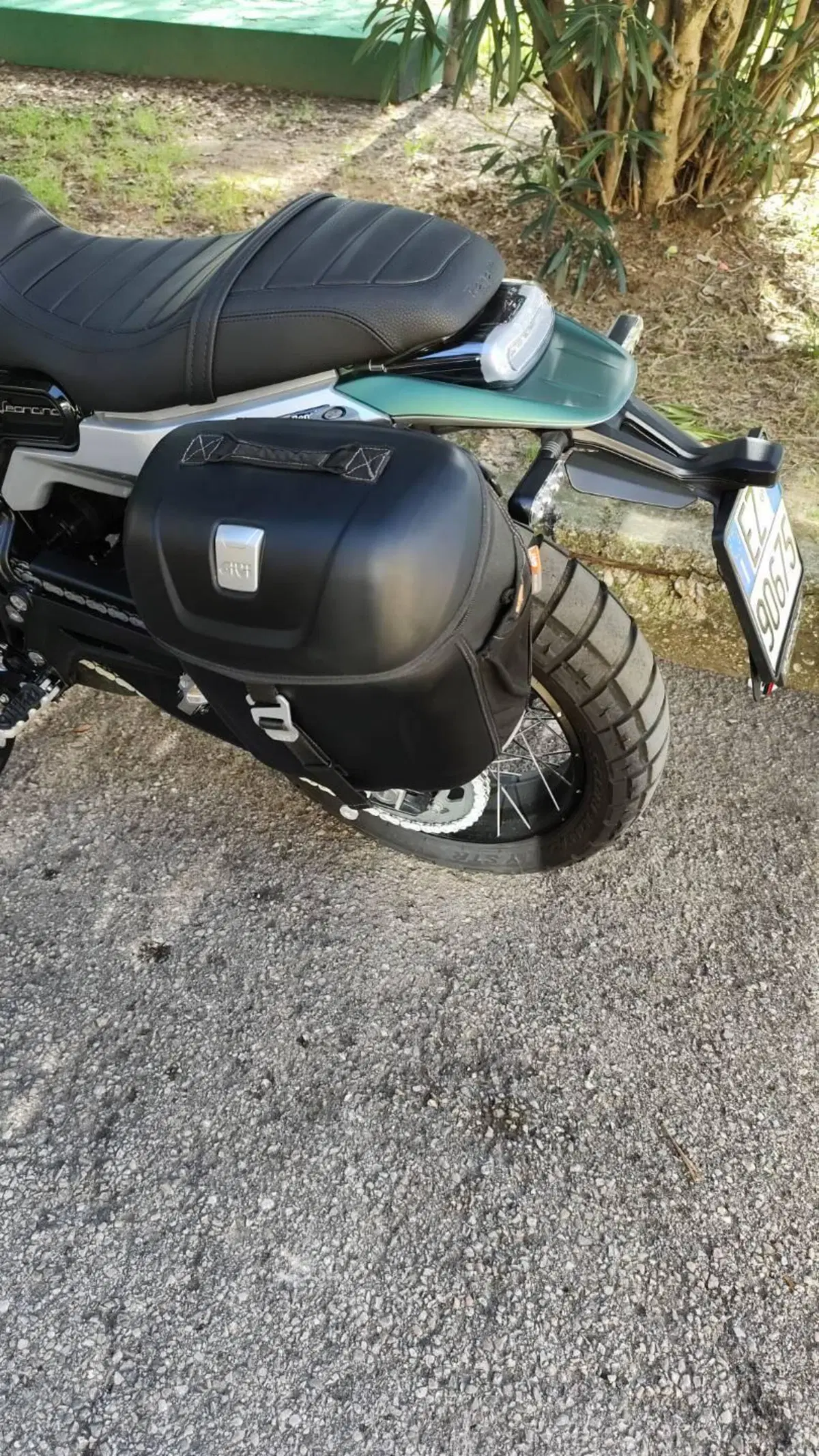 Benelli Leoncino 800 Trail (2022 - 26) (6)