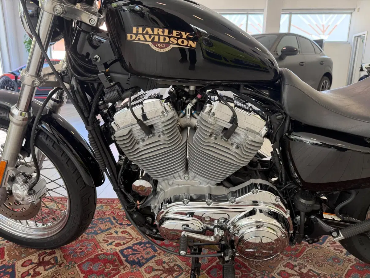 Harley-Davidson 883 Low (2008 - 12) - XL 883L (7)