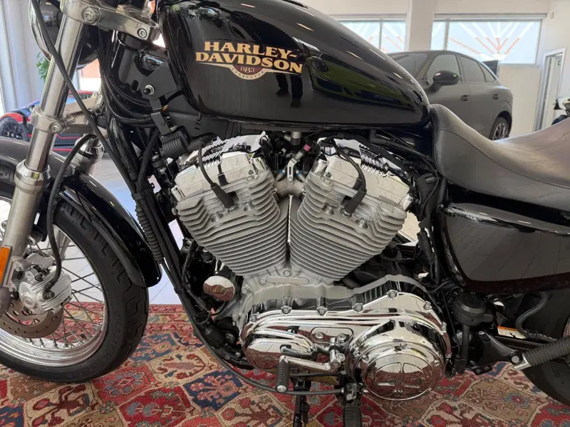 Harley-Davidson 883 Low (2008 - 12) - XL 883L (7)