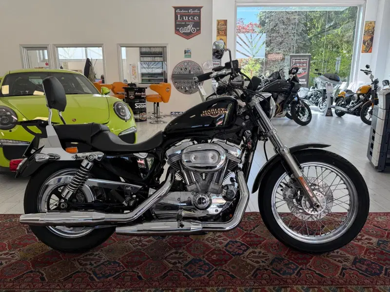 Harley-Davidson 883 Low (2008 - 12) - XL 883L (2)