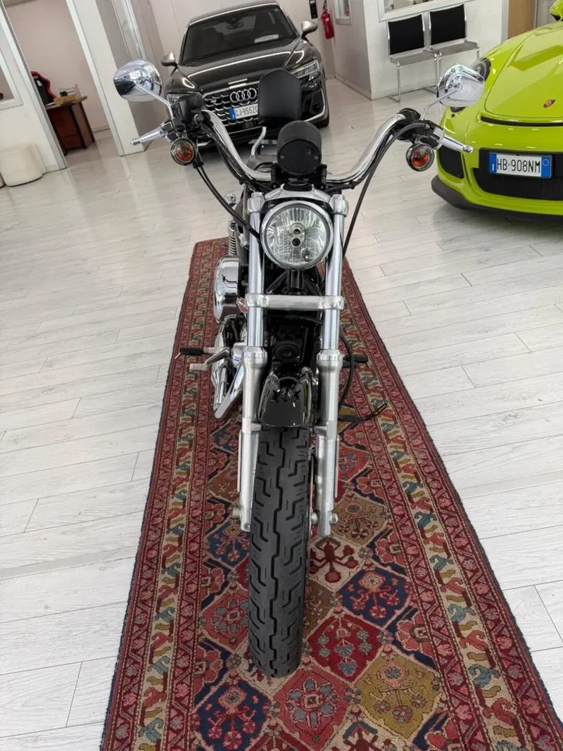 Harley-Davidson 883 Low (2008 - 12) - XL 883L (4)