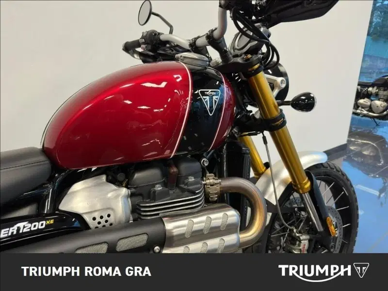 Triumph Scrambler 1200 XE (2021 - 23) (7)