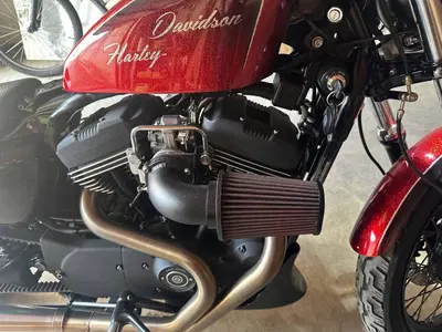 Harley-Davidson 1200 Roadster (2006 - 08) - XL 1200R usata