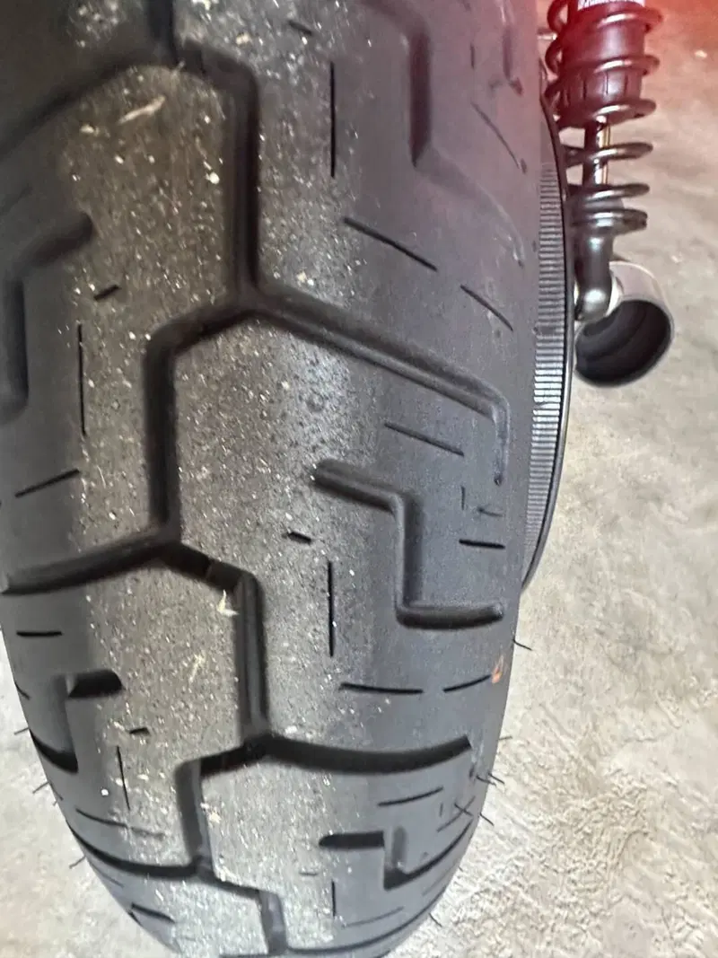 Harley-Davidson 1200 Roadster (2006 - 08) - XL 1200R (7)
