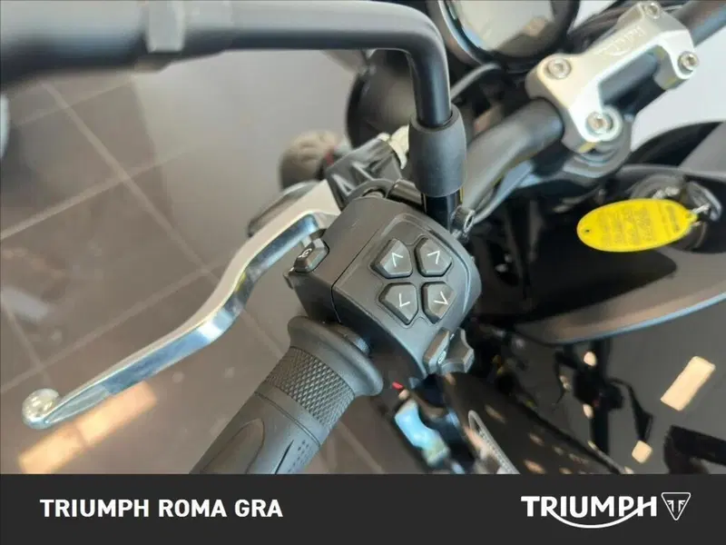 Triumph Trident 660 (2025) (17)