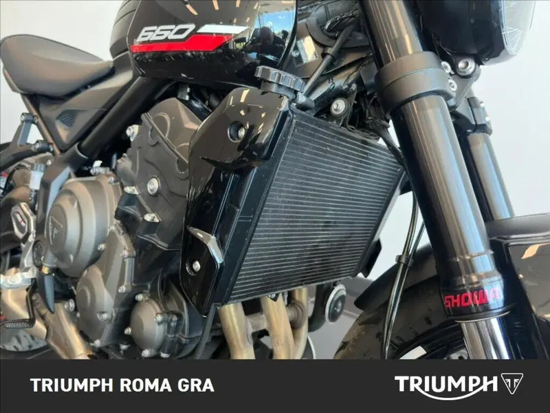Triumph Trident 660 (2025) (7)