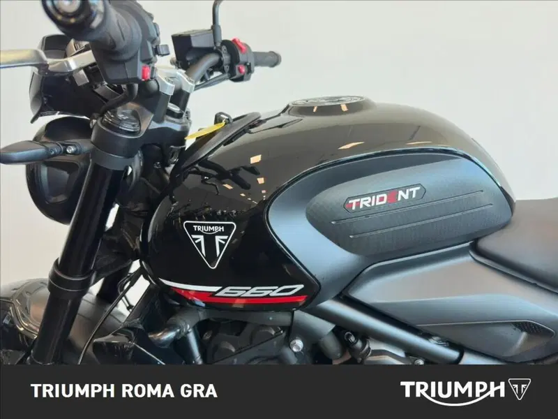 Triumph Trident 660 (2025) (11)
