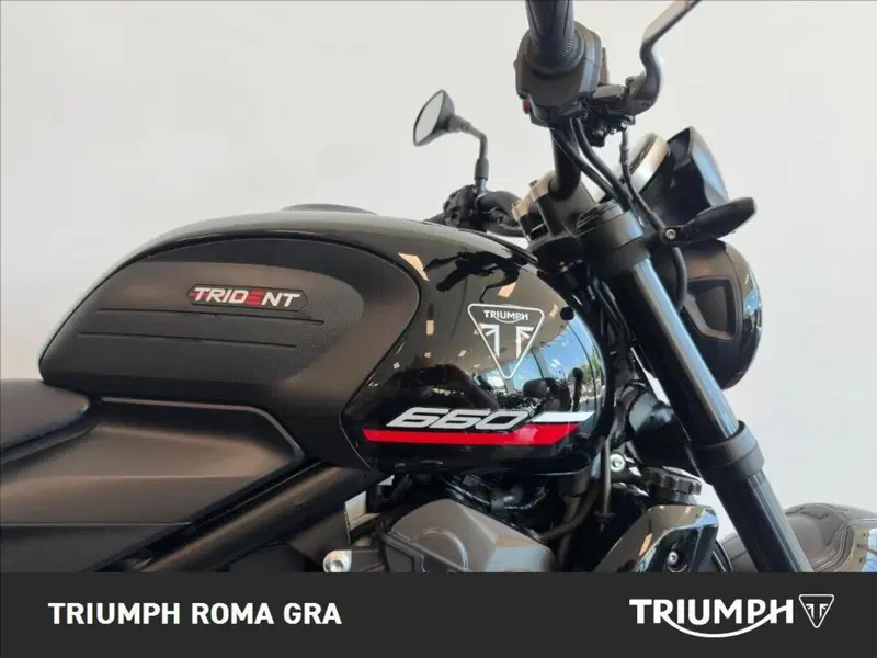 Triumph Trident 660 (2025) (8)