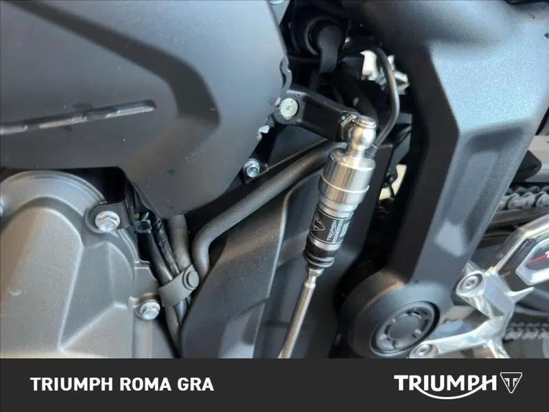 Triumph Trident 660 (2025) (16)