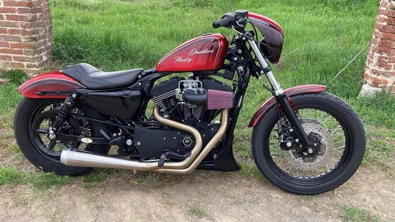 Harley-Davidson 1200 Roadster (2006 - 08) - XL 1200R (9)