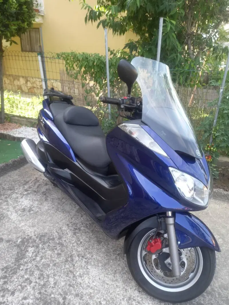 Yamaha Majesty 400 (2004 - 08) (3)