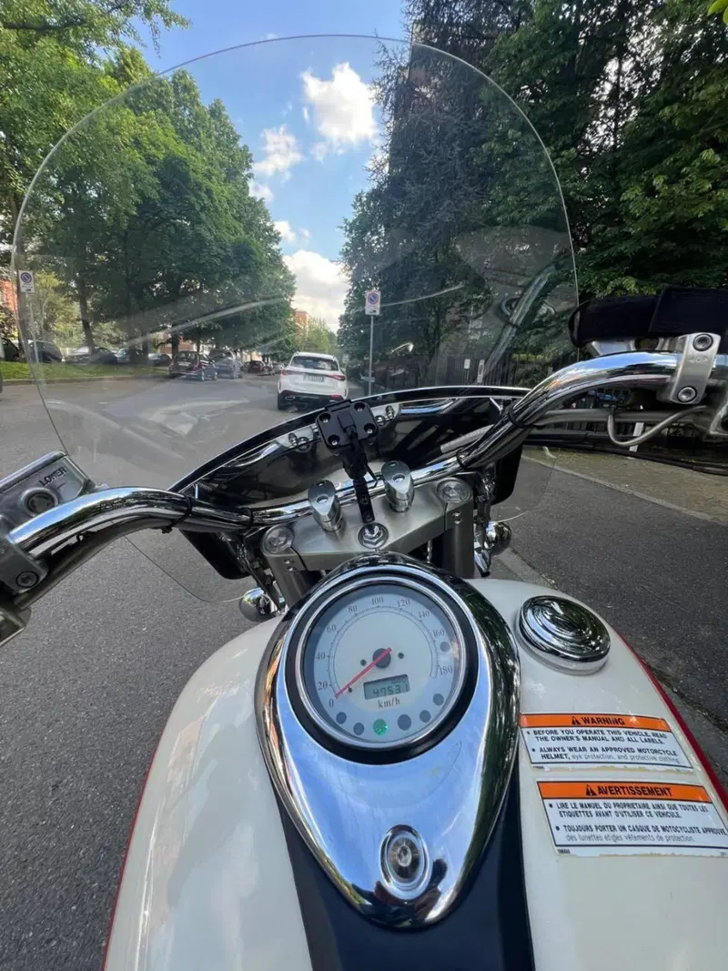Yamaha XVZ 1300 Royal Star (1996 - 02) (8)