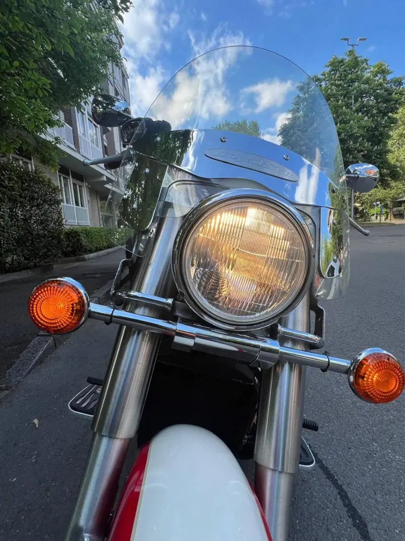 Yamaha XVZ 1300 Royal Star (1996 - 02) (7)
