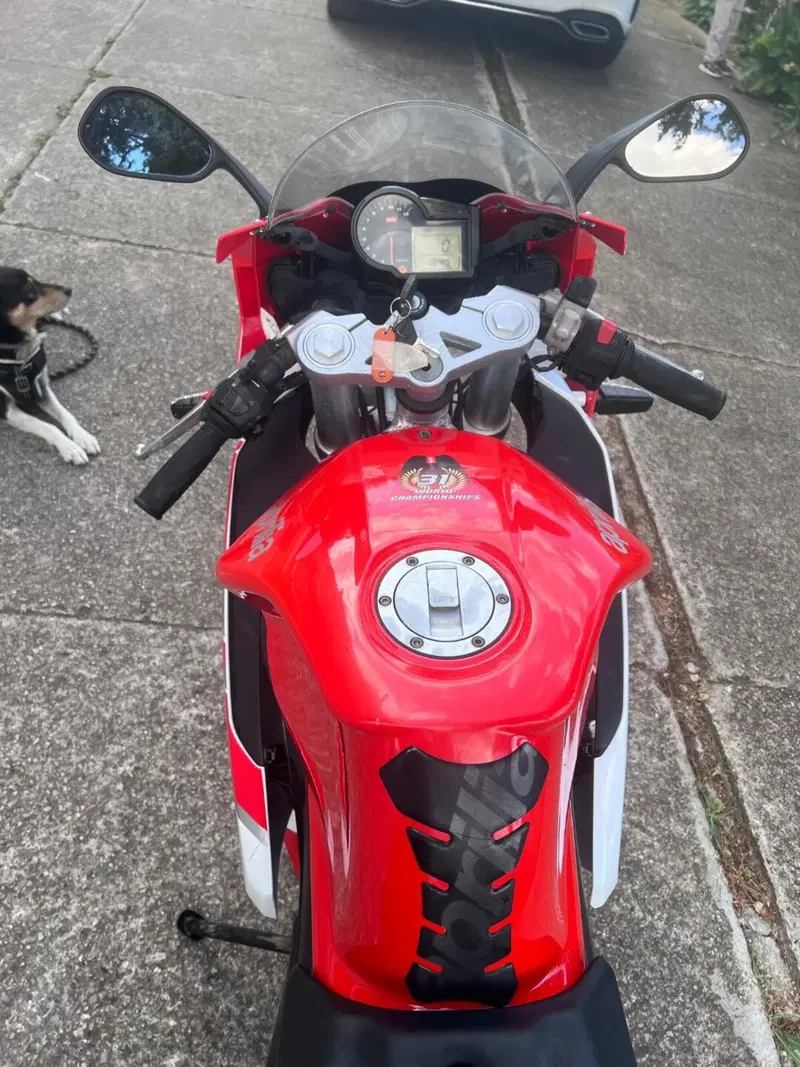 Aprilia RS 50 (2006 - 13) (3)