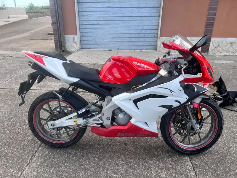 Aprilia RS 50 (2006 - 13) (4)