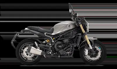 Benelli Leoncino 800 (2022 - 26) nuova
