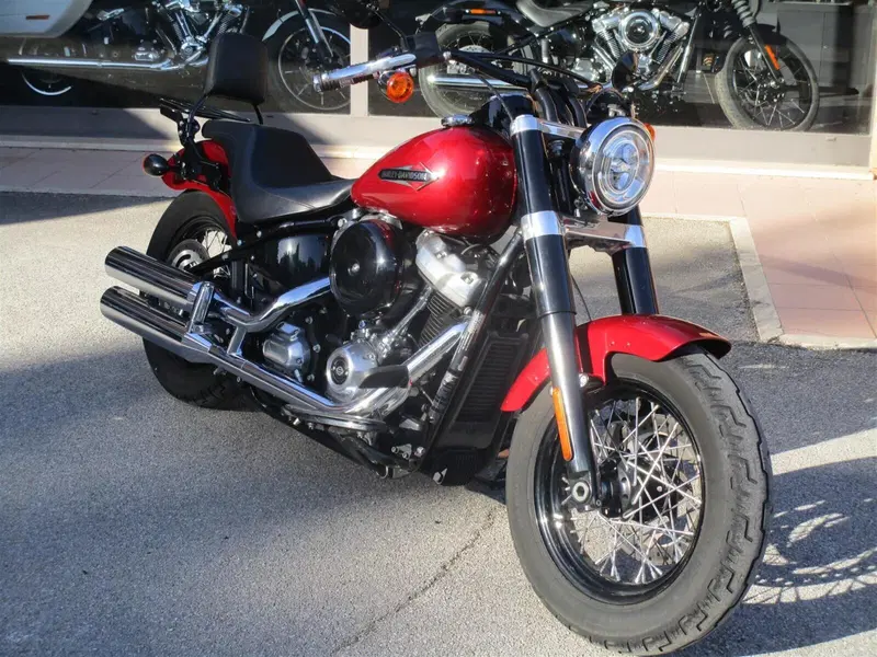 Harley-Davidson 107 Slim (2018 - 20) - FLSL (2)